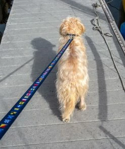 LEATHER MAN 3/4" Wide Nautical Code Flags Dog Leash -OUTDOOR LIVING Store 19273168 3 1500.01112019050007