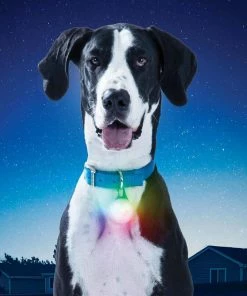 NITE IZE SpotLit&trade; XL Rechargeable Collar Light, Disc-O Select -OUTDOOR LIVING Store 19495258 8 1500.25022019030254