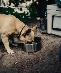 YETI Boomer™ 4 Stainless Steel Dog Bowl -OUTDOOR LIVING Store 19683168 5 1500.19072019013548