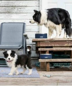 YETI Boomer&trade; 4 Stainless Steel Dog Bowl -OUTDOOR LIVING Store 19683176 5 1500.06082019120052