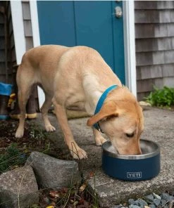 YETI Boomer&trade; 4 Stainless Steel Dog Bowl -OUTDOOR LIVING Store 19683200 7 1500.19072019013656