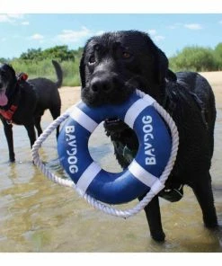 BAY DOG Fetch Ring Dog Toy -OUTDOOR LIVING Store 20247227 3 1500.23062021093417