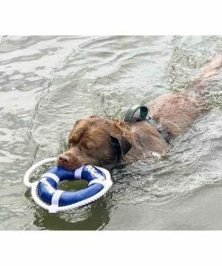 BAY DOG Fetch Ring Dog Toy -OUTDOOR LIVING Store 20247227 4 1500.23062021093420