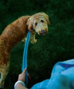 NITE IZE NiteDog&trade; Rechargeable LED Leash -OUTDOOR LIVING Store 20337317 8 1500.27072021013325