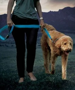NITE IZE NiteDog&trade; Rechargeable LED Leash -OUTDOOR LIVING Store 20337317 9 1500.27072021013328