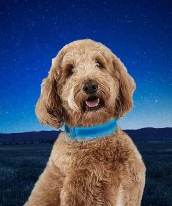 NITE IZE NiteDog&trade; Rechargeable LED Dog Collar, Medium -OUTDOOR LIVING Store 20337325 6 1500.27072021013348